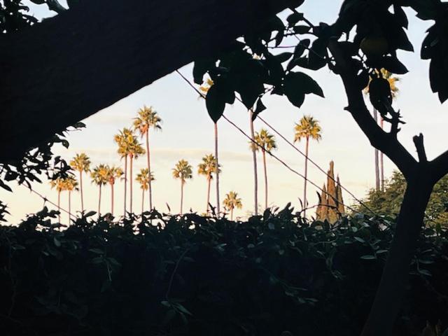 Costa Mesa Homestay - Private Rooms With 2 Shared Baths And Hosts Onsite المظهر الخارجي الصورة